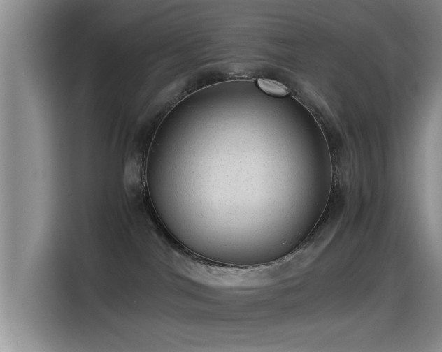 X0000115260044200911061247