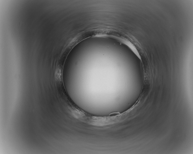 X0000115260045200911061247