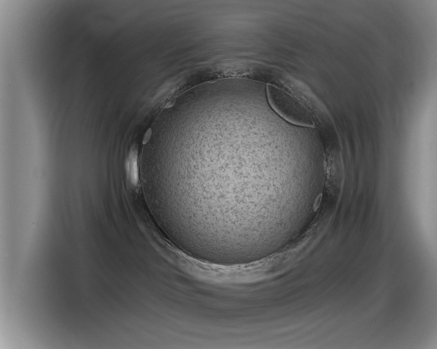 X0000115260046200911061247