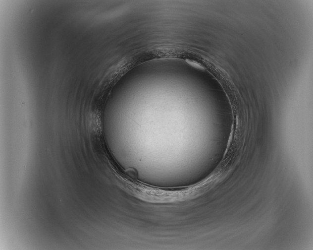 X0000115260048200911061247