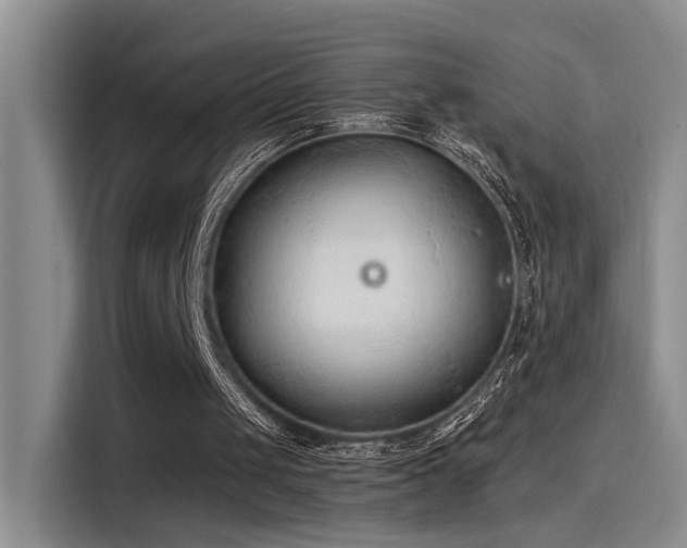 X0000115260049200911061247