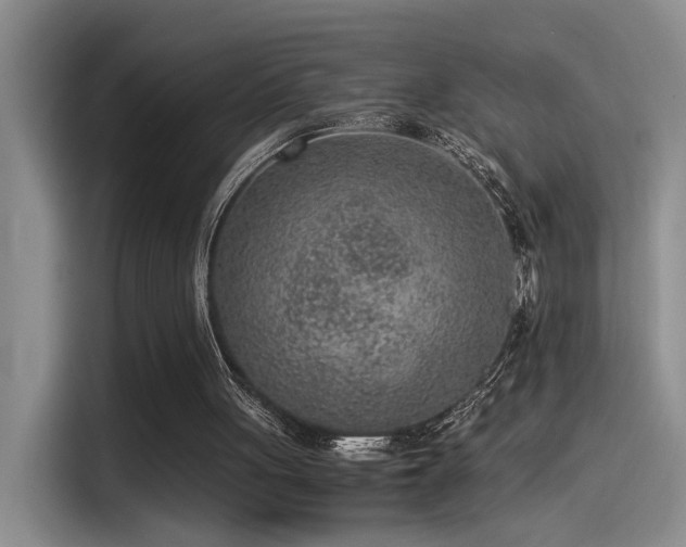 X0000115260051200911061247