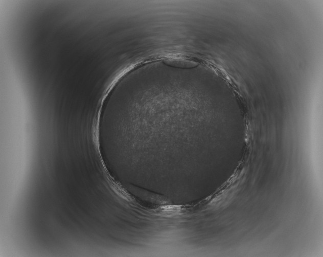 X0000115260052200911061247