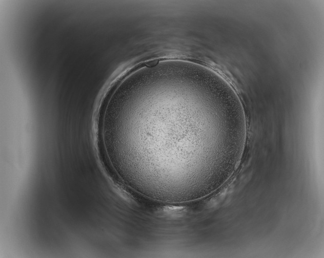 X0000115260055200911061247