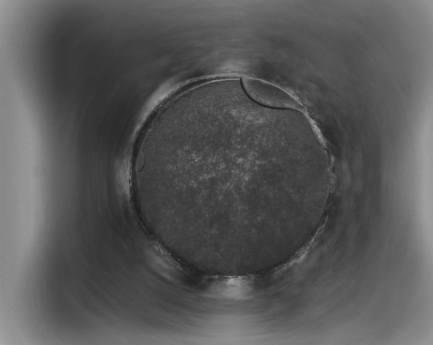 X0000115260056200911061247