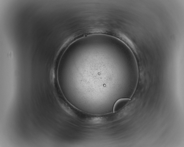 X0000115260059200911061247