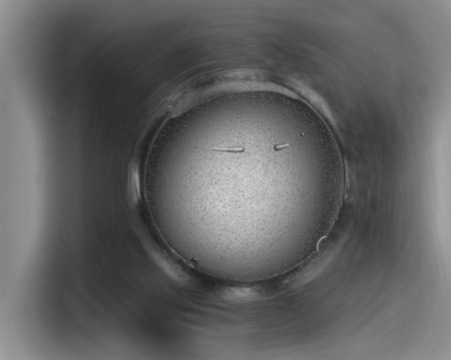 X0000115260061200911061247