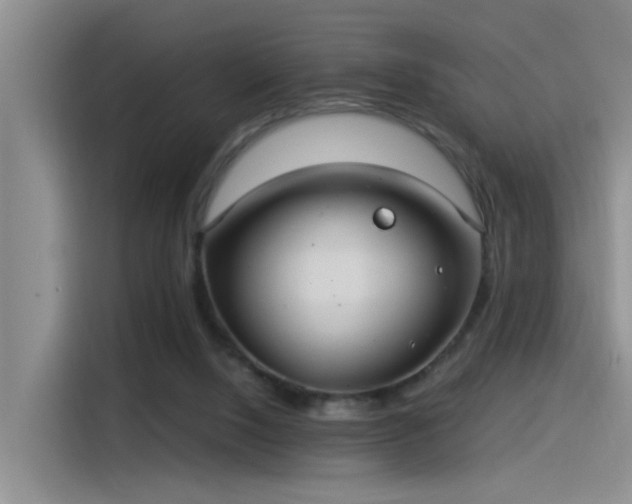 X0000115260064200911061247