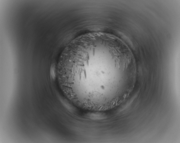 X0000115260069200911061247