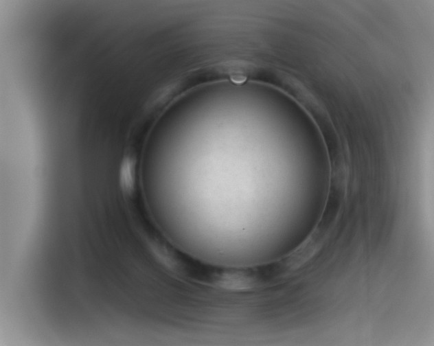 X0000115260070200911061247