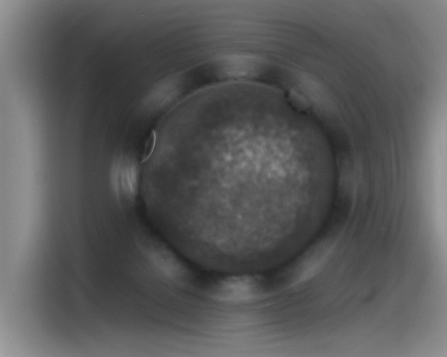 X0000115260076200911061247