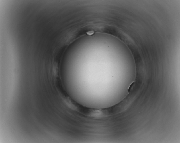 X0000115260083200911061247