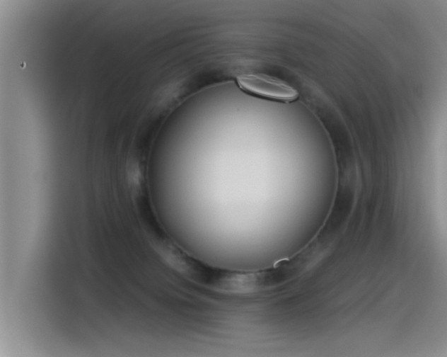 X0000115260084200911061247