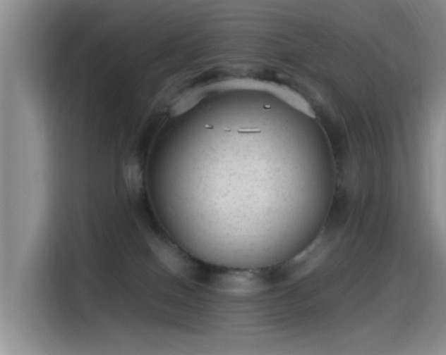 X0000115260086200911061247