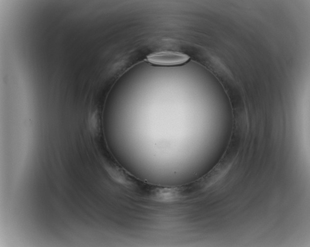 X0000115260088200911061247