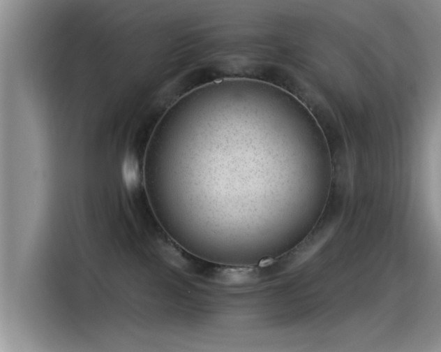 X0000115260089200911061247