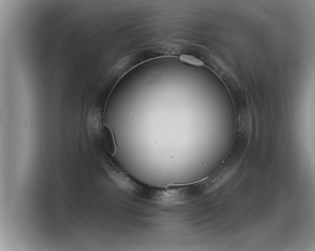 X0000115260092200911061247
