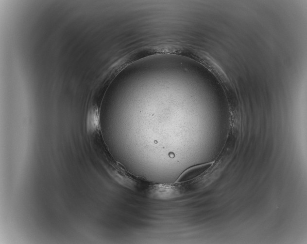 X0000115260095200911061247