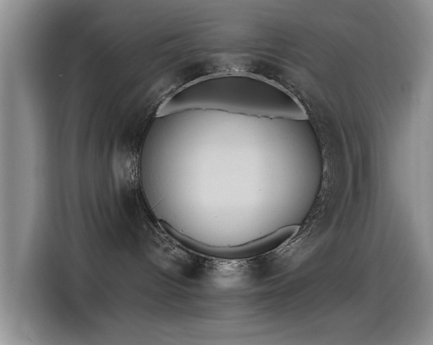 X0000115260096200911061247