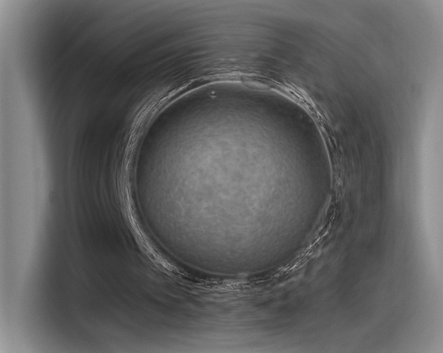 X0000115260097200911061247
