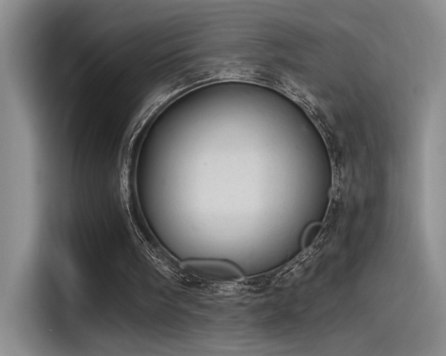 X0000115260098200911061247