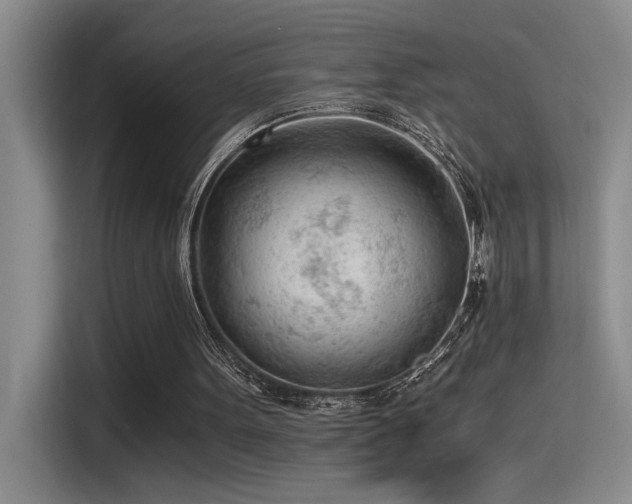 X0000115260099200911061247