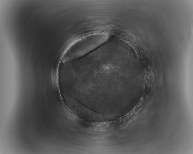 X0000115260100200911061247