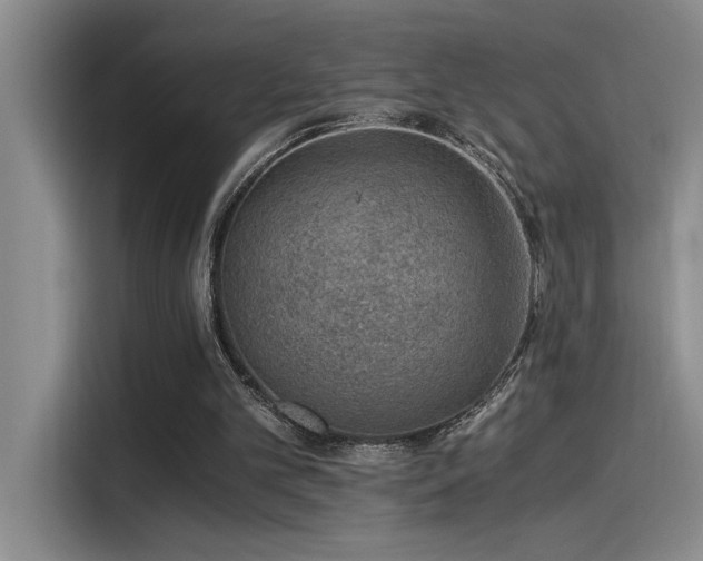 X0000115260101200911061247