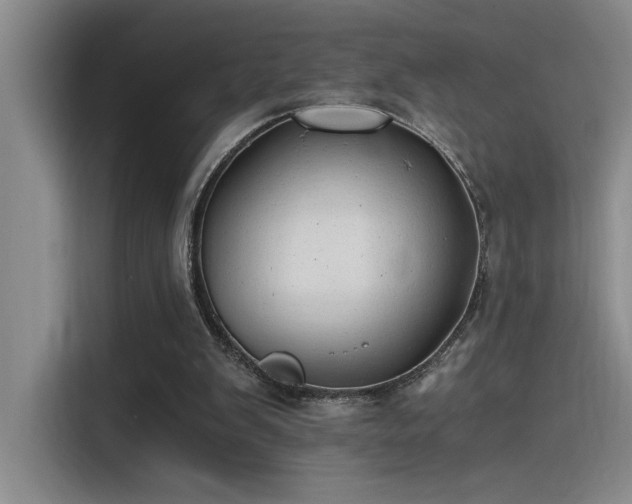 X0000115260103200911061247