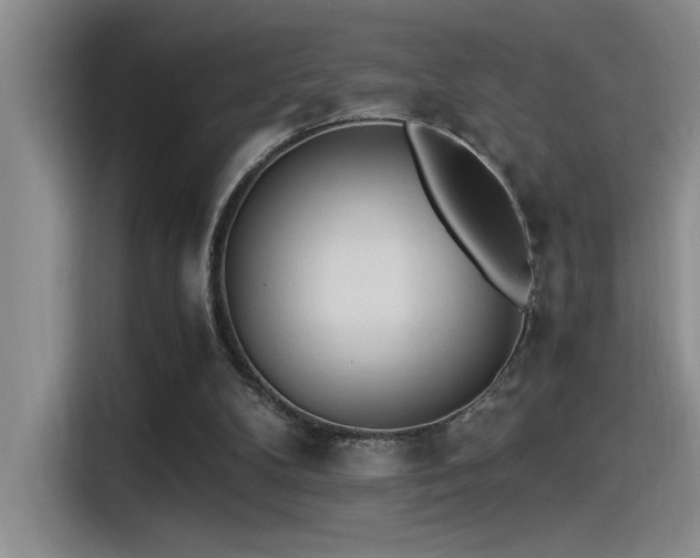 X0000115260104200911061247
