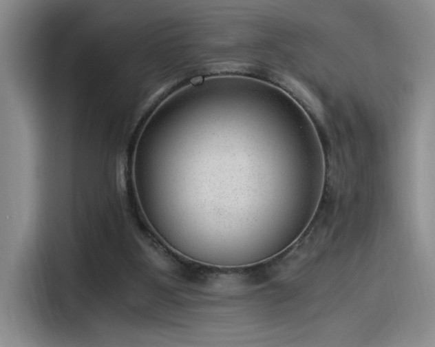 X0000115260107200911061247