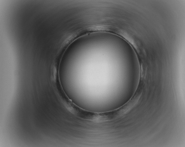 X0000115260109200911061247