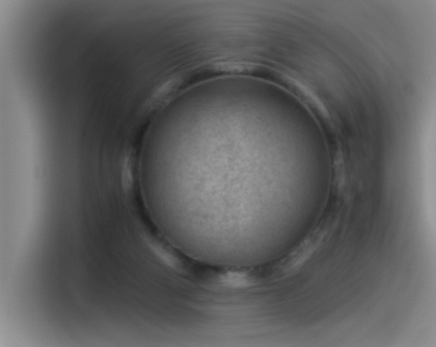 X0000115260114200911061246
