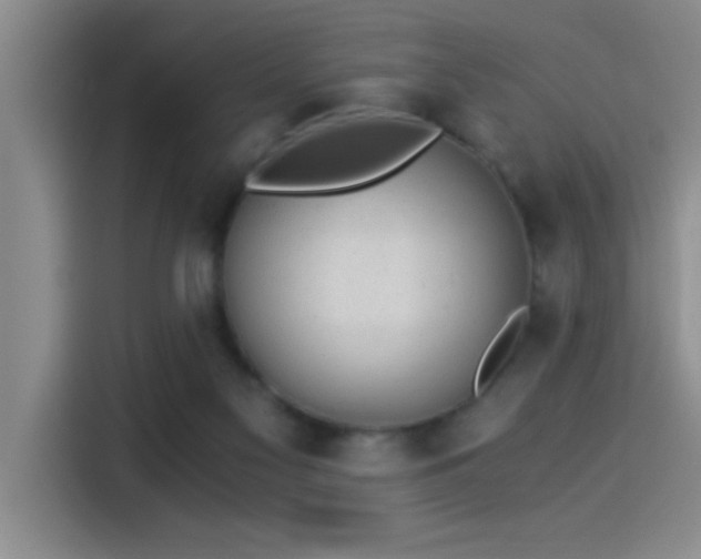 X0000115260117200911061246