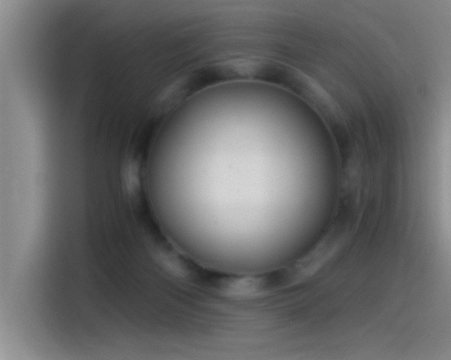 X0000115260122200911061246