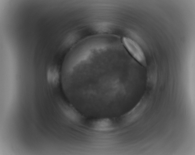 X0000115260124200911061246