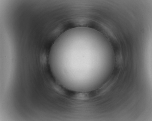 X0000115260126200911061246