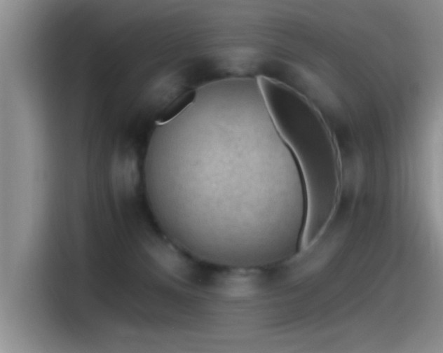 X0000115260128200911061246