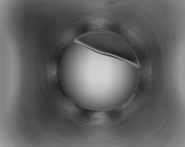 X0000115260132200911061246