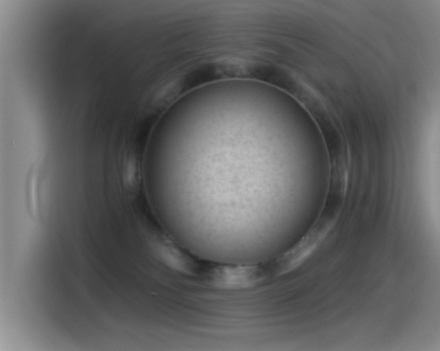 X0000115260134200911061246