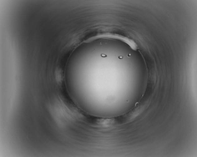 X0000115260135200911061246