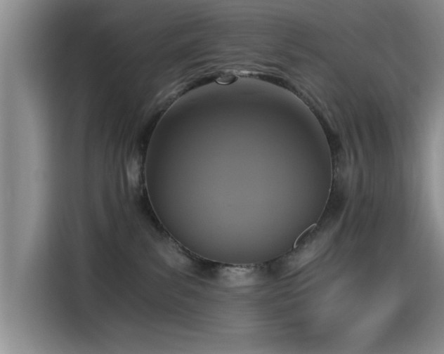 X0000115260139200911061246