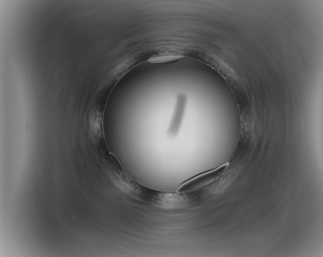 X0000115260141200911061246