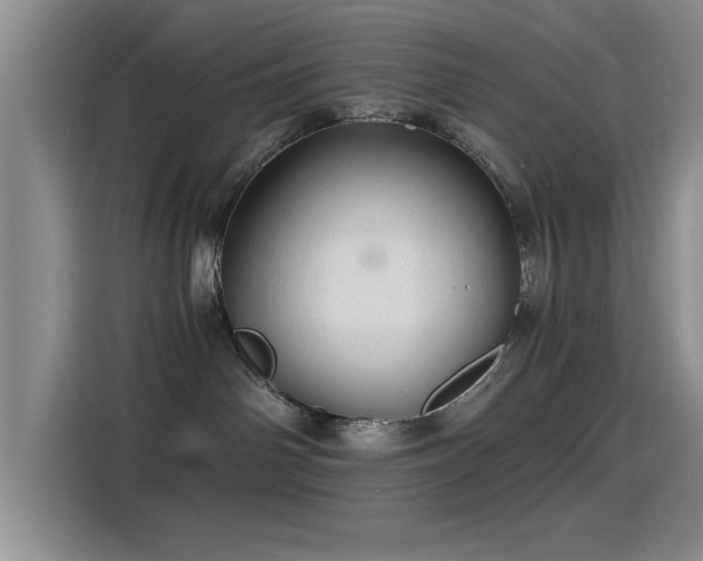 X0000115260142200911061246