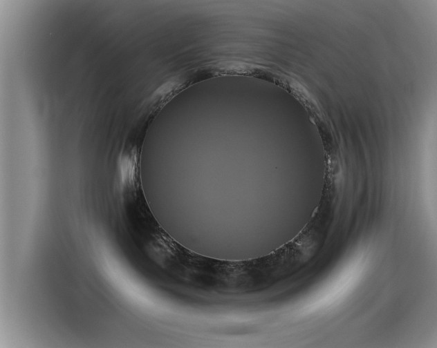 X0000115260143200911061246