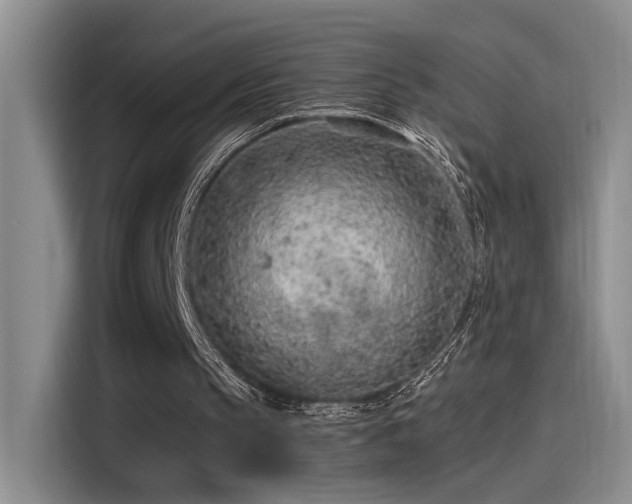 X0000115260145200911061245