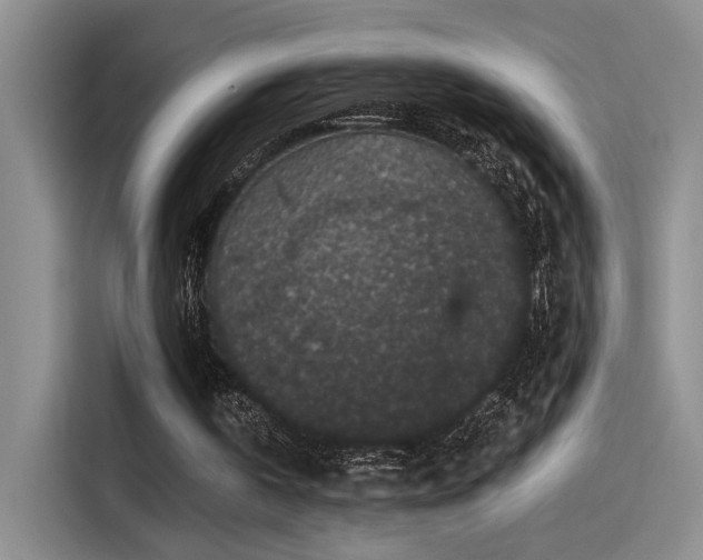 X0000115260146200911061246