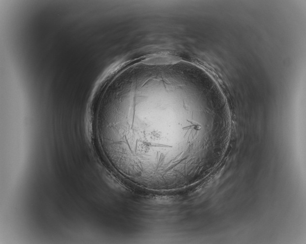 X0000115260149200911061246