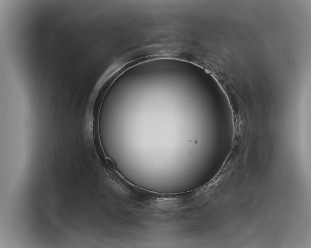 X0000115260150200911061246