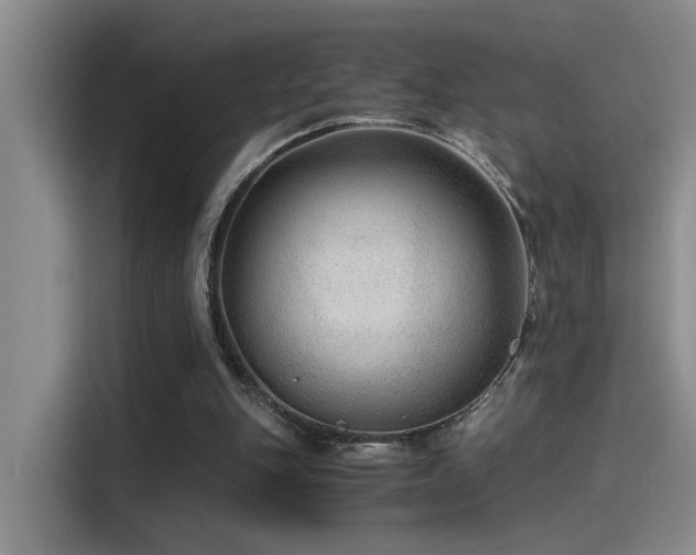 X0000115260151200911061246